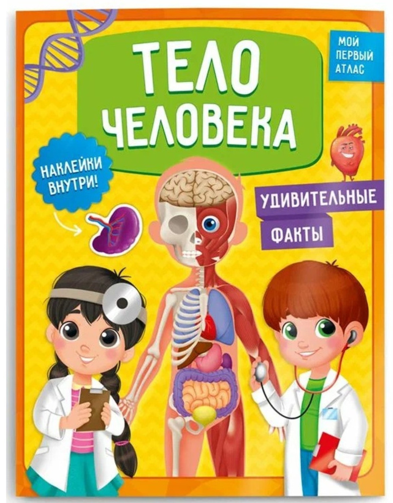 Мой первый атлас с наклейками "Тело человека", детский альбом по анатомии и строению человека с удивительными #1