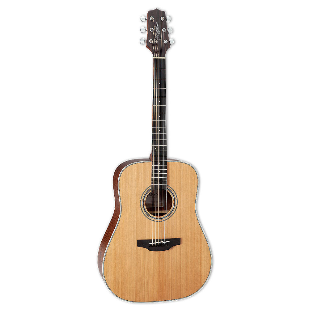 Акустическая гитара Takamine GD20-NS #1