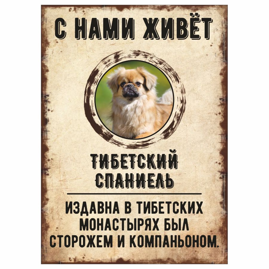 Табличка, декоративная, DANGER DOG, С нами живет Тибетский спаниель, 18см х 25см  #1