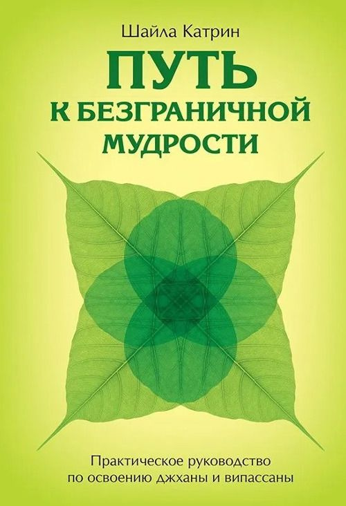 Путь к безграничной мудрости. Практическое руководство по освоению джханы и випассаны | Катрин Шайла #1