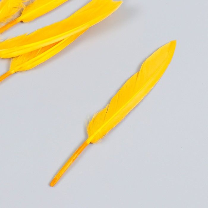 Перья для творчества 60-150 мм, 5 шт, тёмно-жёлтый #1