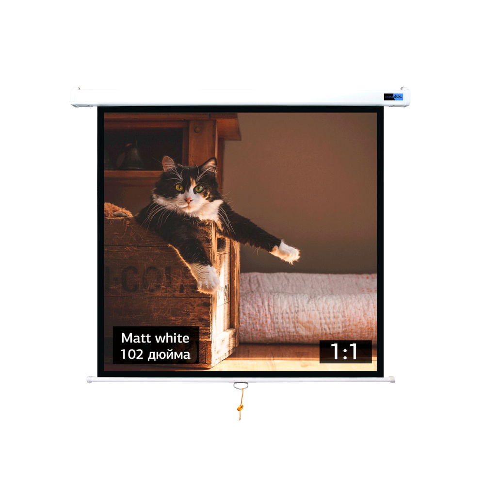 Экран для проектора S'OK SCPSW-183x183 102'' 1:1 настенно-потолочный, ручной, матовый, белый  #1