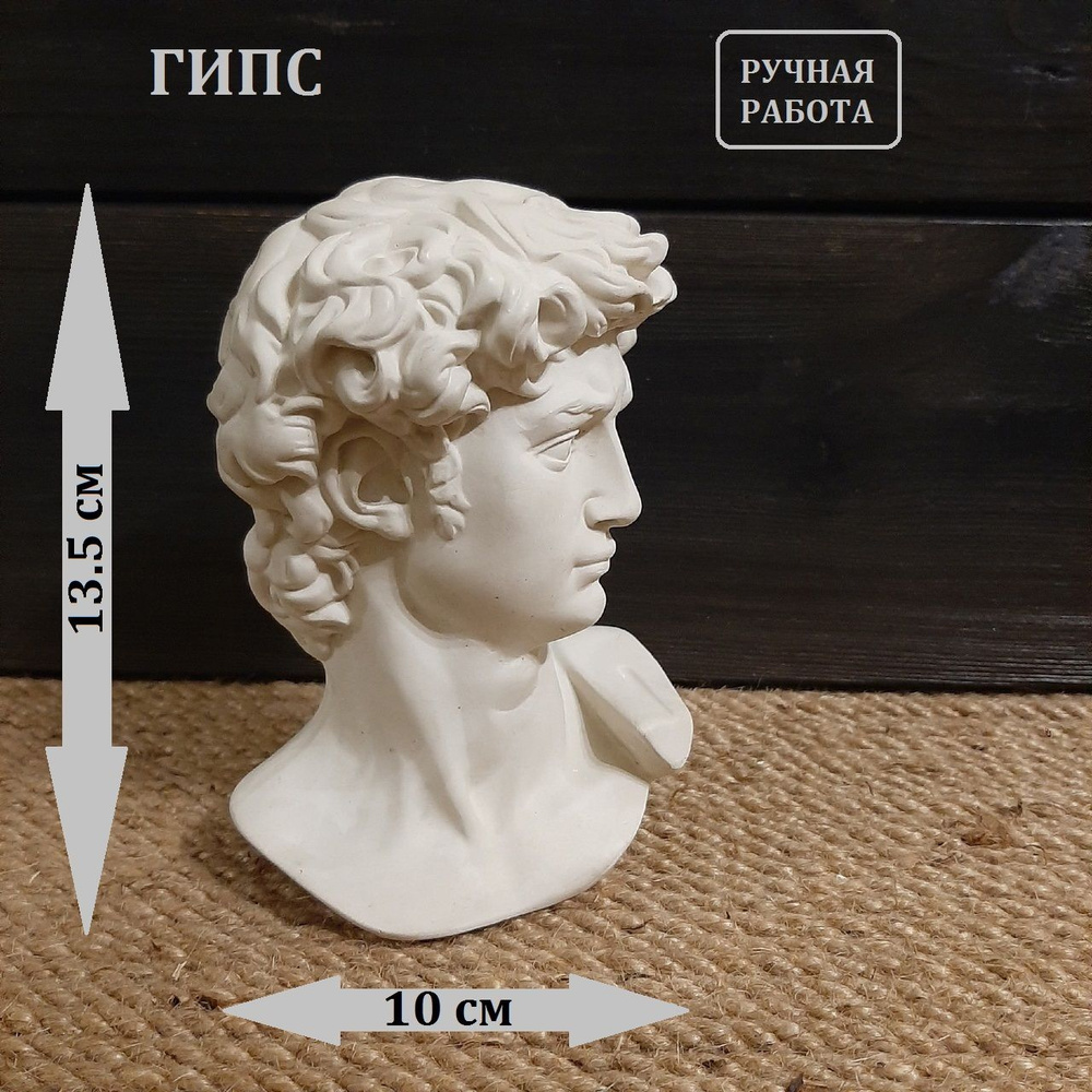 Статуэтка из гипса голова/бюст Давида белого цвета из гипса  #1