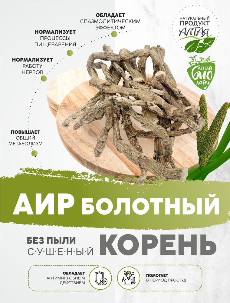 Аир болотный (корень), 100 г / Натуральный продукт Алтая #1