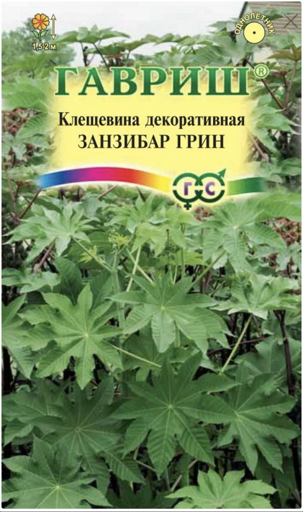 Клещевина ЗАНЗИБАР ГРИН, 1 пакет, семена 5шт, Гавриш #1