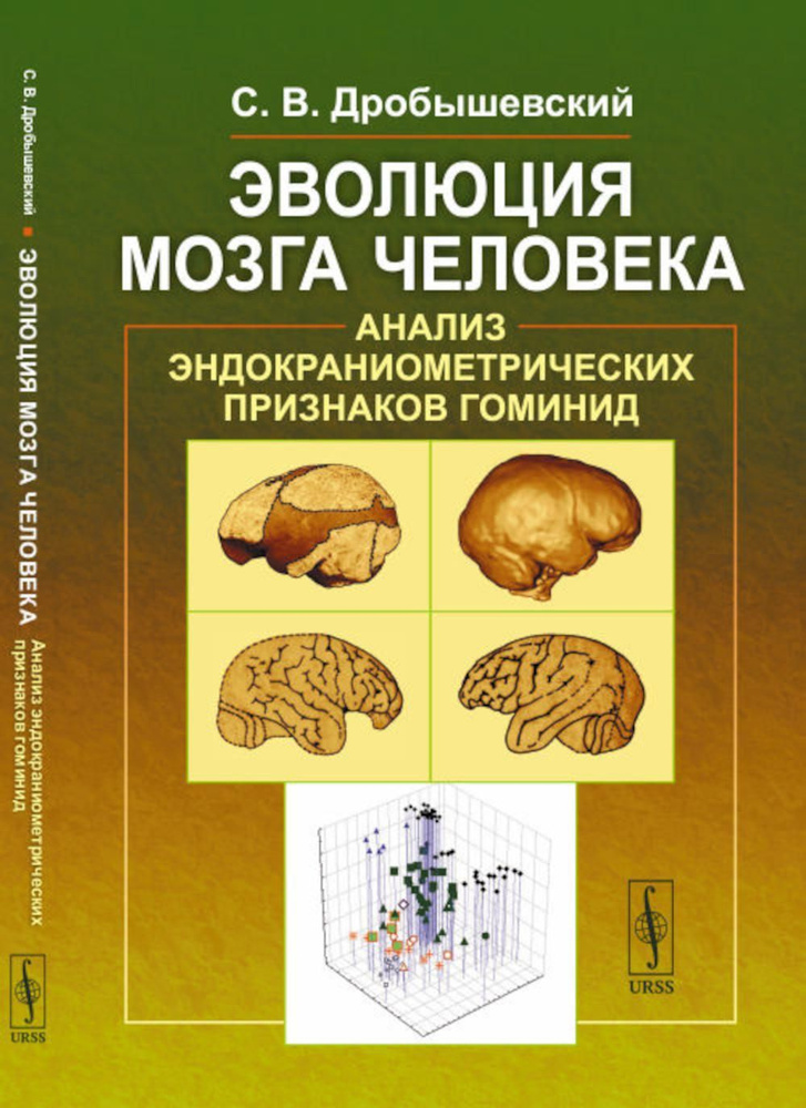 Эволюция мозга человека: Анализ эндокраниометрических признаков гоминид | Дробышевский Станислав Владимирович #1