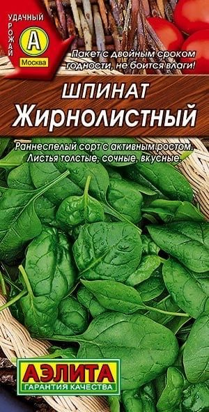 ШПИНАТ ЖИРНОЛИСТНЫЙ. Семена. Вес 3 гр. раннеспелый сорт для открытого грунта.  #1