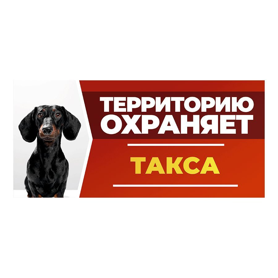 Табличка, DANGER DOG, Такса, на забор, 30см х 14см #1