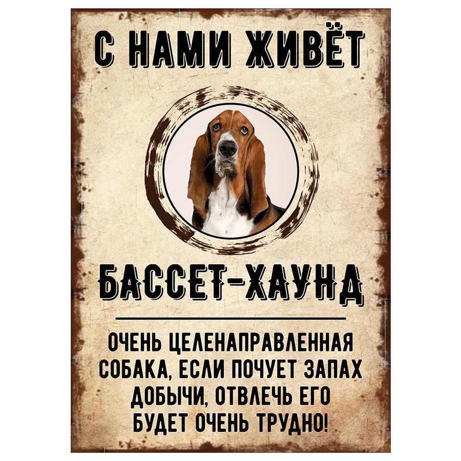 Табличка, декоративная, DANGER DOG, С нами живет Бассет-хаунд, 18см х 25см  #1