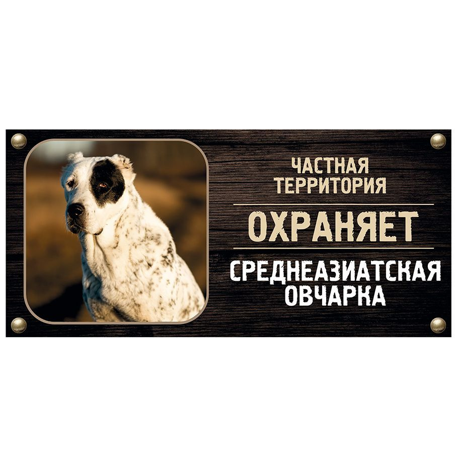 Табличка, Злая собака, Территорию охраняет Среднеазиатская овчарка, на металлической основе, 30см х 14 #1