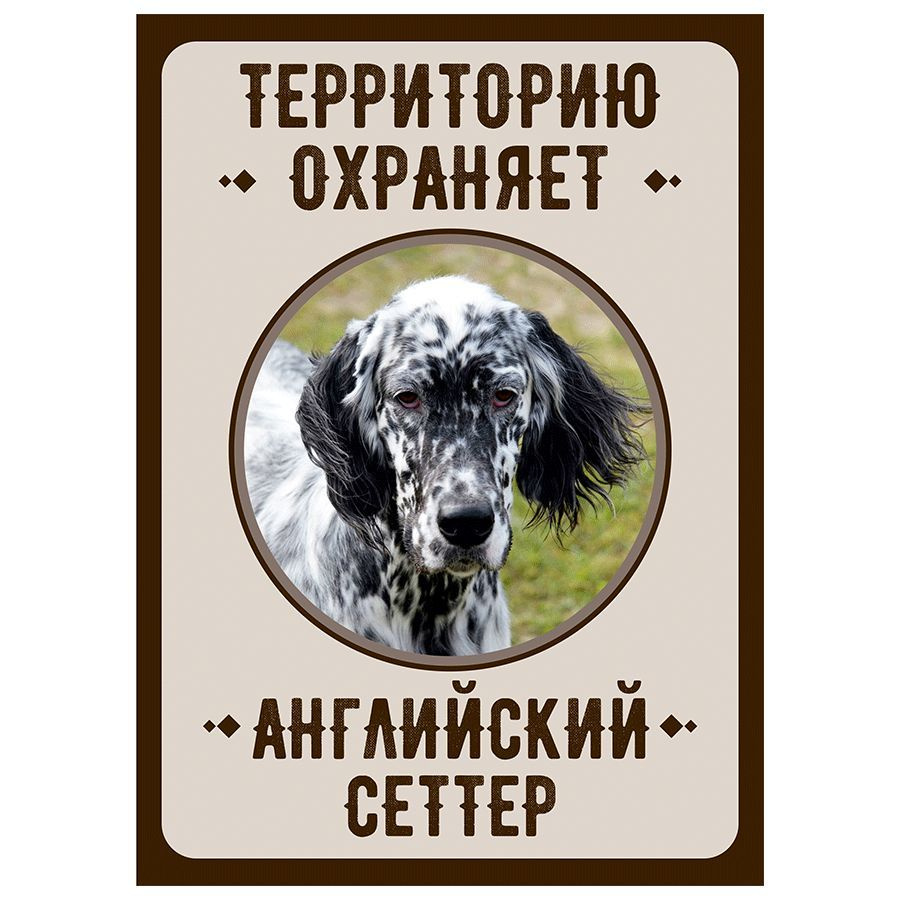 Табличка, Злая собака, Территорию охраняет Английский сеттер, на металлической основе, 18см х 25 см, #1