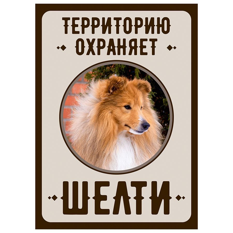 Табличка, Злая собака, Территорию охраняет Шелти, на металлической основе, 18см х 25 см, на забор, на #1