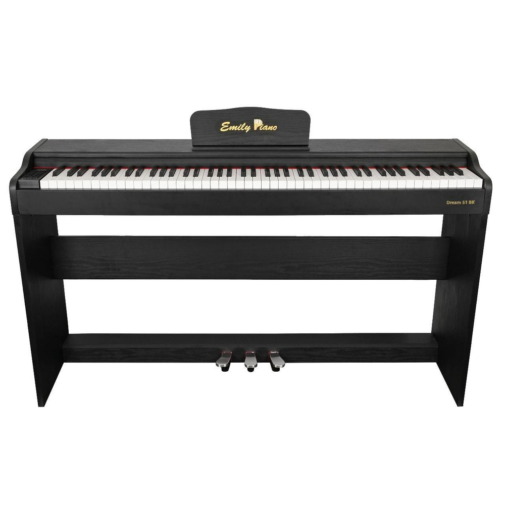 Цифровое фортепиано EMILY PIANO D-51 BK (Корпусное с педалями) #1