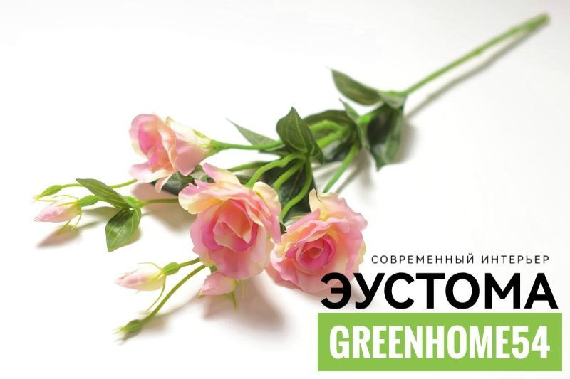 GreenHome54 Цветы поштучно,1шт #1