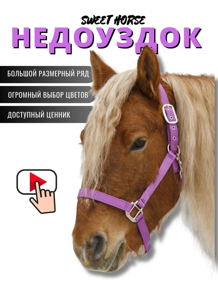 Sweethorse / Недоуздок для лошади и пони SHETTY #1