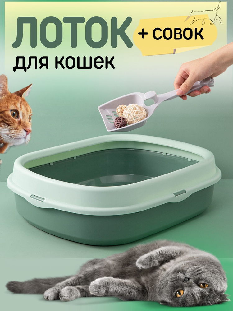 Лоток для кошачьего туалета с бортиками #1