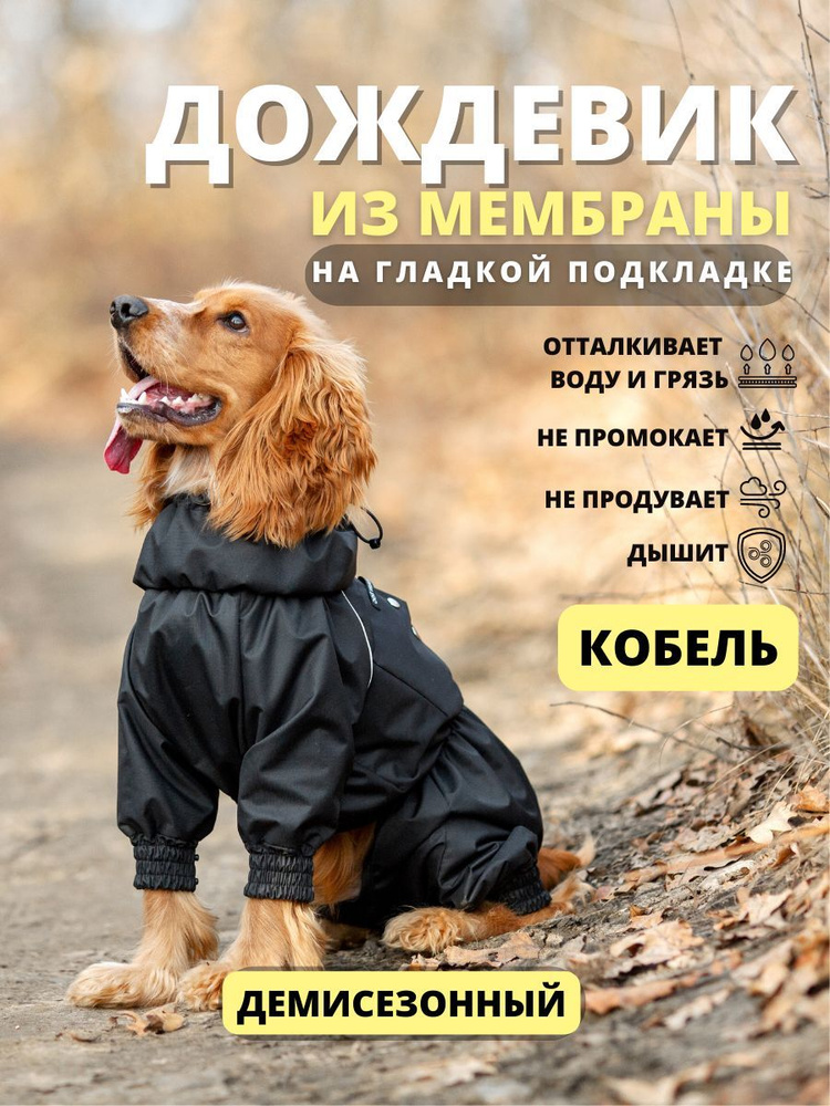 Комбинезон дождевик для собак средних пород STORM, 40м (кобель), черный, XL  #1