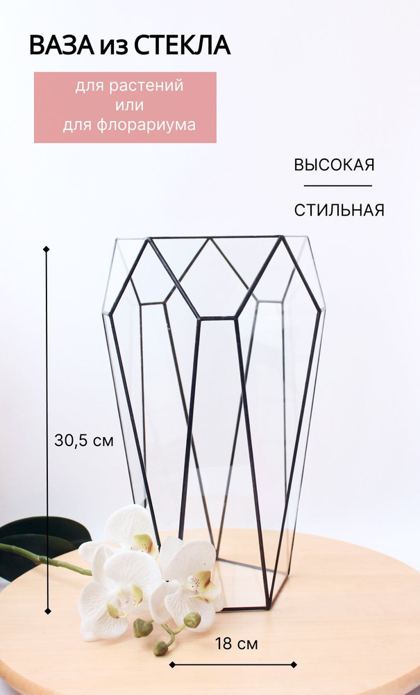 Флорариум кашпо Марк h-30, стеклянная ваза для флорариума Glass Flowers  #1