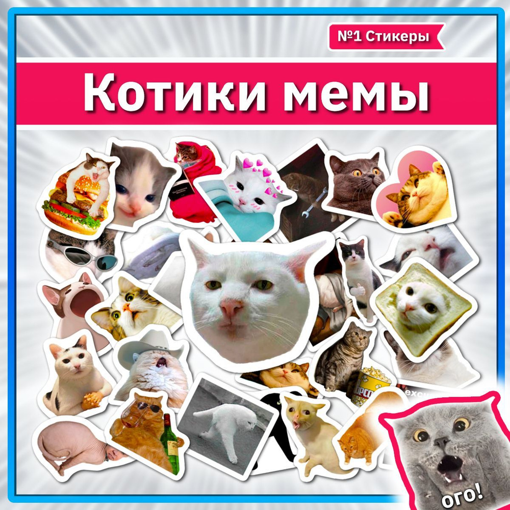 Наклейки Котики стикеры Котики из мемов на телефон #1