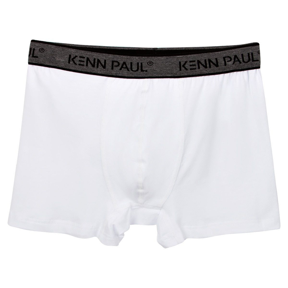 Трусы боксеры KENN PAUL, 1 шт #1