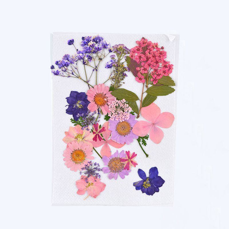 Набор натуральных сухоцветов для творчества, декора, 24 шт. 130*105 мм / сухоцветы для изготовления украшений #1