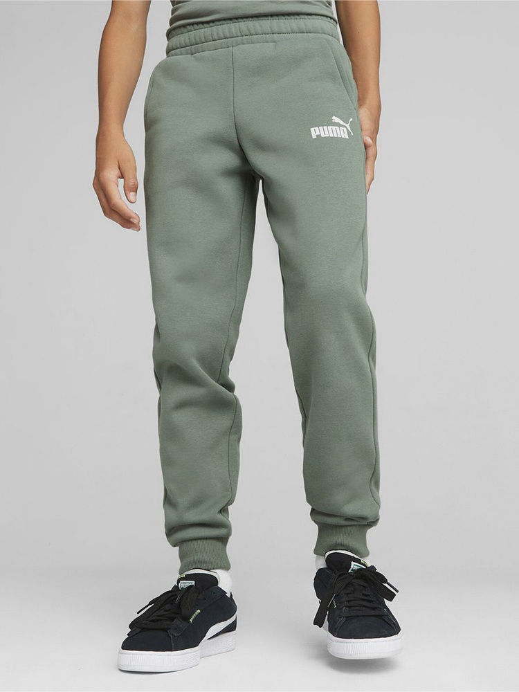 Брюки спортивные PUMA Ess Logo Pants #1