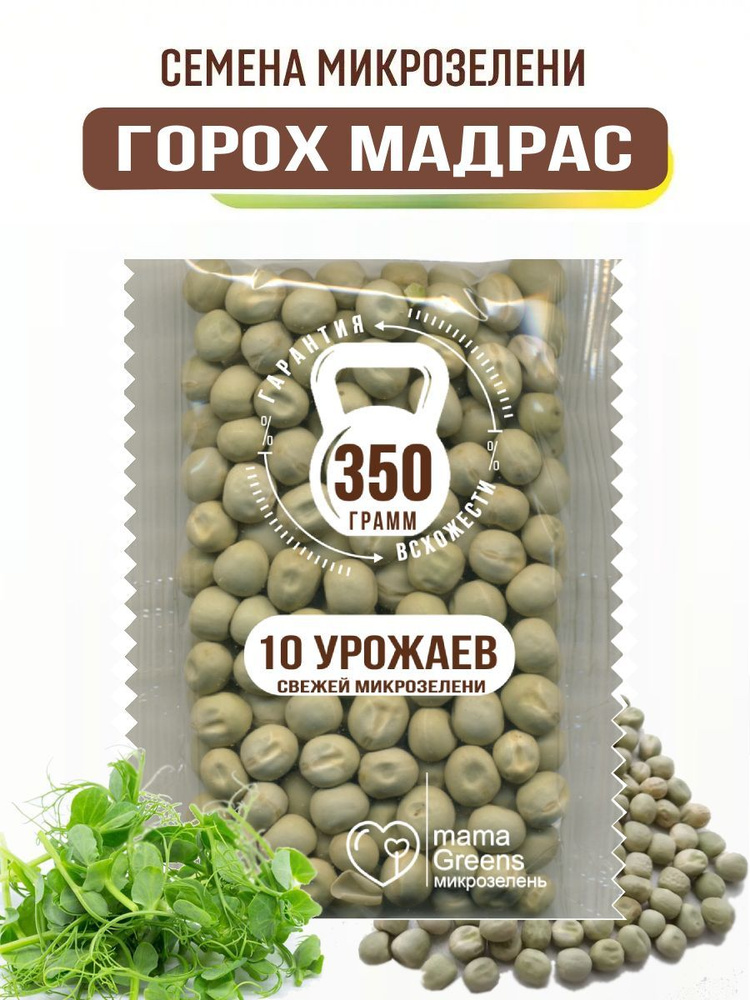 Горох Мадрас 350 гр - семена микрозелени для выращивания и проращивания / 10 урожаев / Огород на окне #1