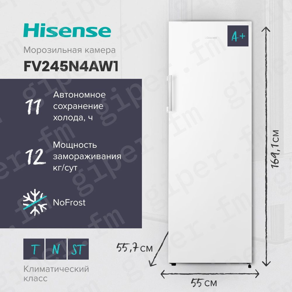 Морозильная камера Hisense FV245N4AW1, 186 л, No Frost, 5 ящиков, белый #1