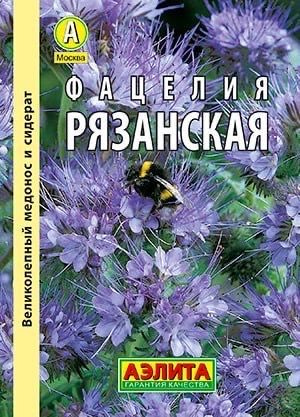 ФАЦЕЛИЯ РЯЗАНСКАЯ. Семена. Вес 20 гр. Популярное неприхотливое растение используемое в качестве сидерата #1