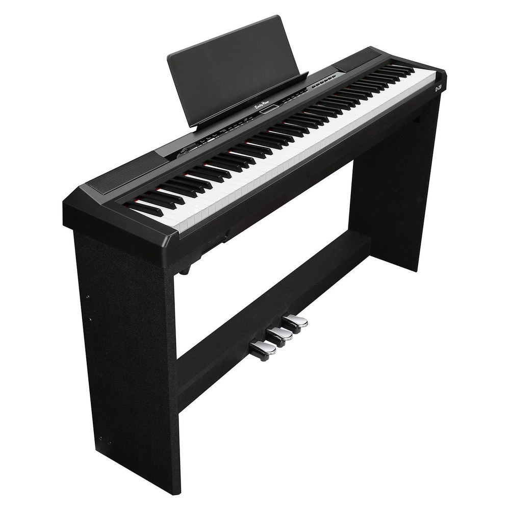 Цифровое корпусное фортепиано EMILY PIANO D-20 BK #1