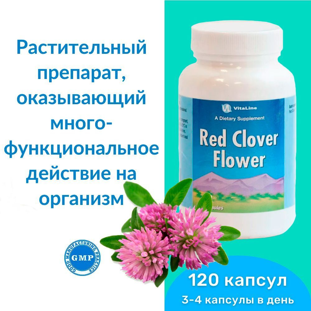 Цветки красного клевера Виталайн / Red clover flowers Vitaline - растительный препарат, оказывающий многофункциональное #1