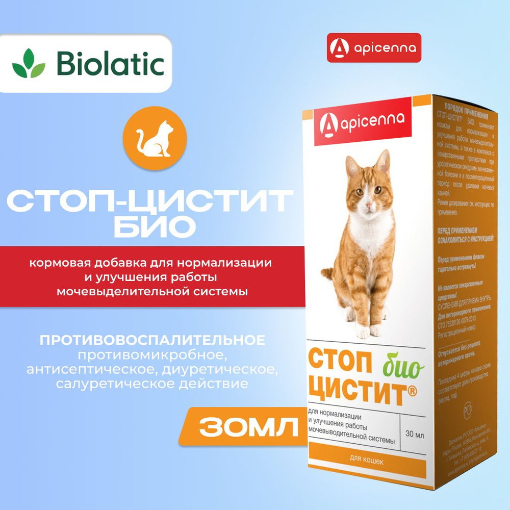 Как правильно давать таблетки кошке?