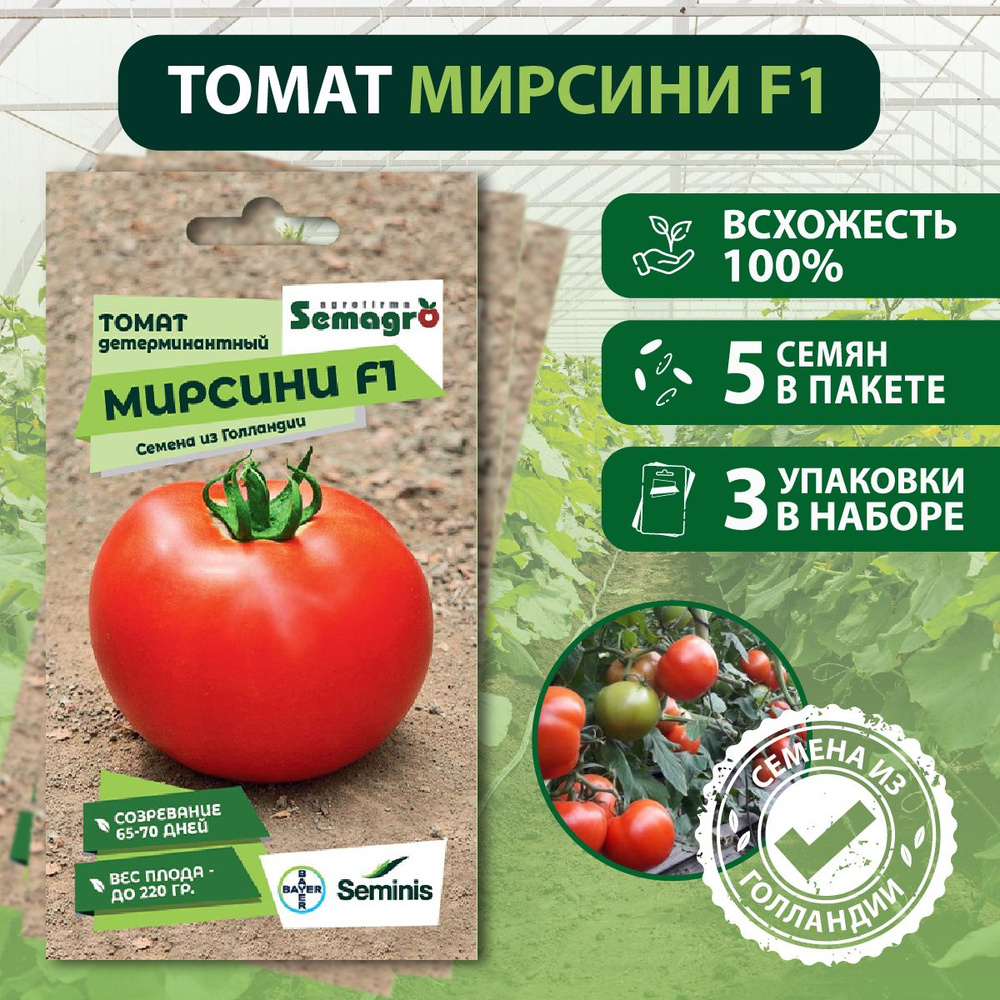 Семена томата детерминантного Мирсини F1 SEMINIS, 3 пакета, (5 семян в одном пакете), Голландия  #1