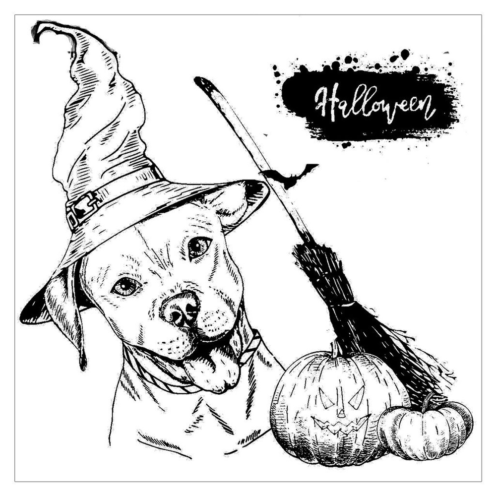 Штамп,Серия прозрачных котиков на Хэллоуин-Halloween Broom Dog #1