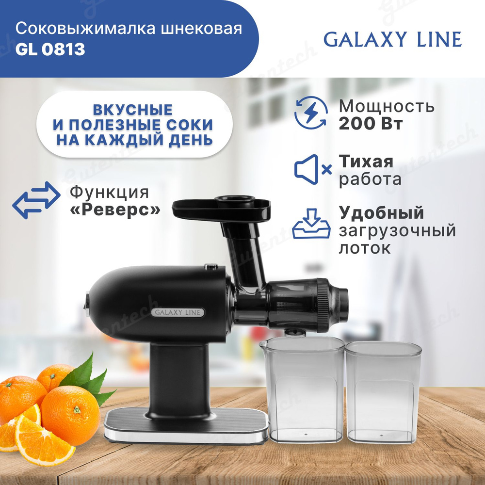 Соковыжималка шнековая Galaxy LINE GL 0813 (гл0813л) #1