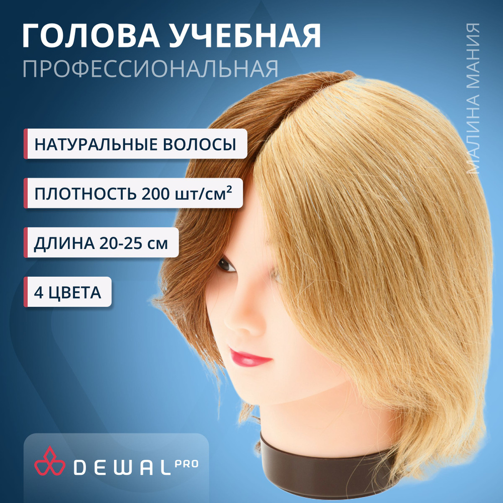 DEWAL Парикмахерская учебная голова-манекен для стрижек и причесок 4 цвета, натуральные волосы 20-25 #1