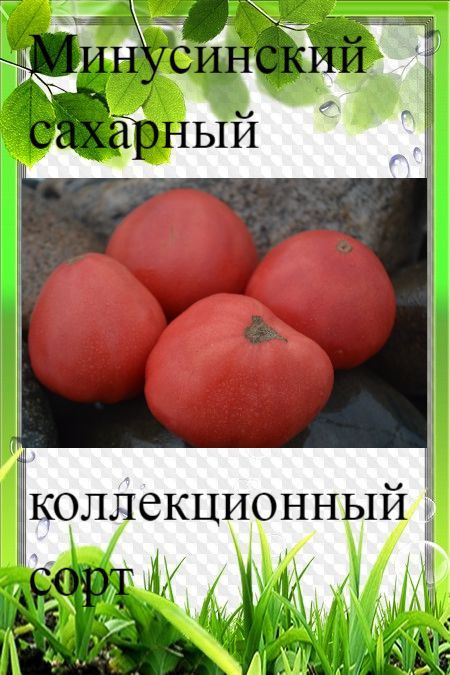 Семена томата Минусинский сахарный #1