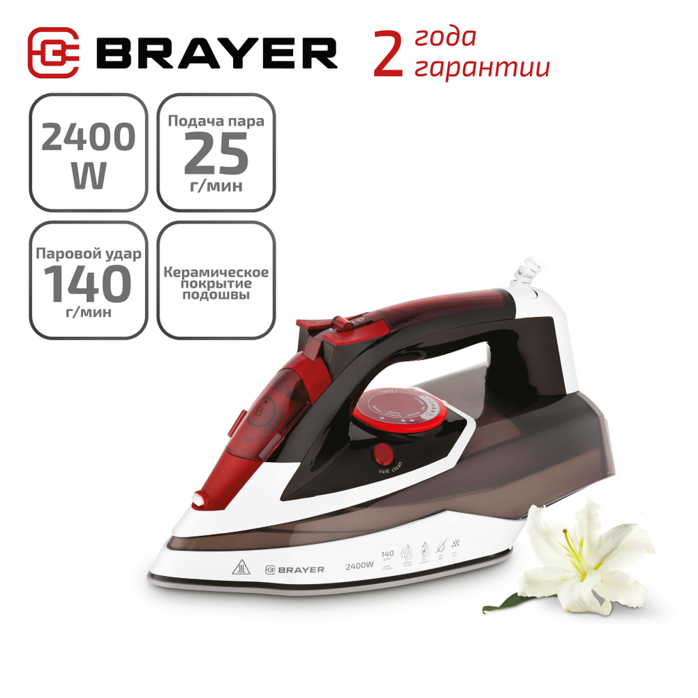 Утюг BRAYER BR4005 #1