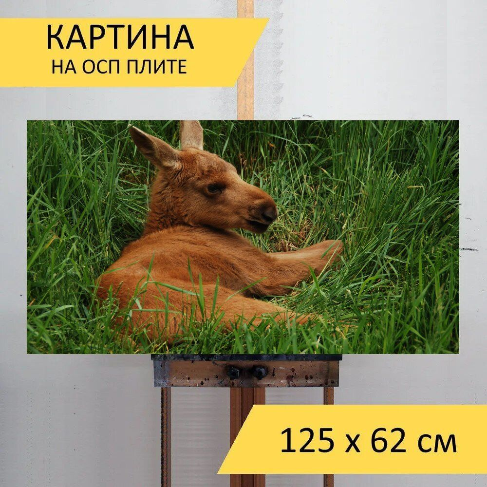 LotsPrints Картина "Лось, швеция, лось ребенок 61", 125  х 62 см #1