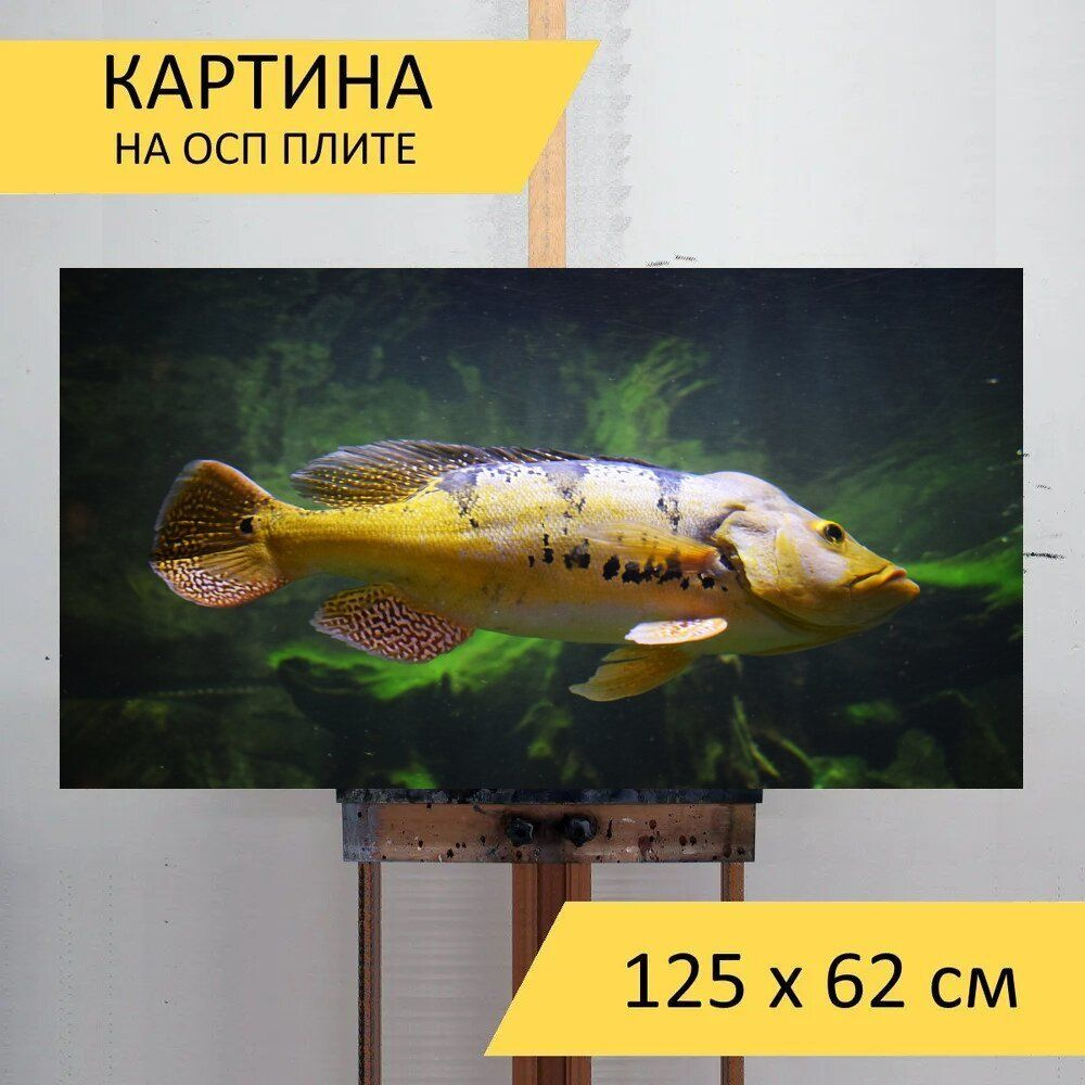 LotsPrints Картина "Рыбы, море, аквариум 00", 125  х 62 см #1