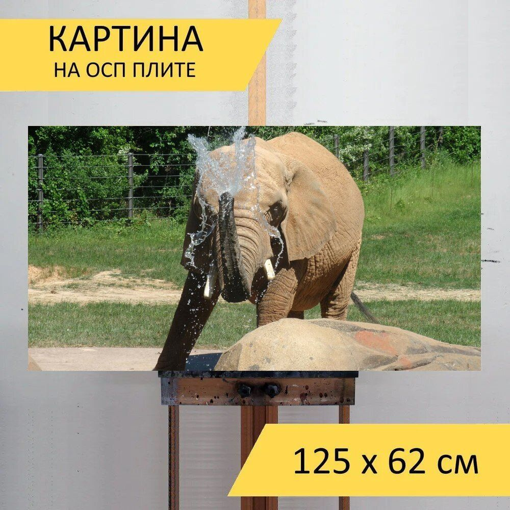 LotsPrints Картина "Слон, млекопитающее, зоопарк 82", 125  х 62 см #1