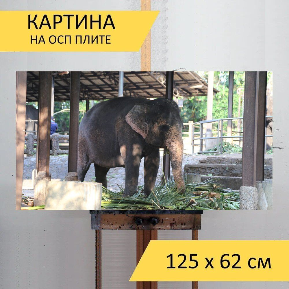 LotsPrints Картина "Слон, животное, зоопарк 79", 125  х 62 см #1