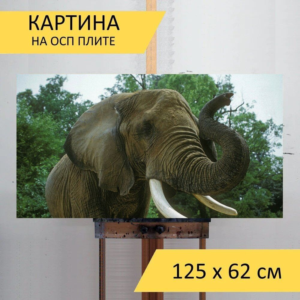 LotsPrints Картина "Слон, африканской саванне, животное 69", 125 х 62 см  #1