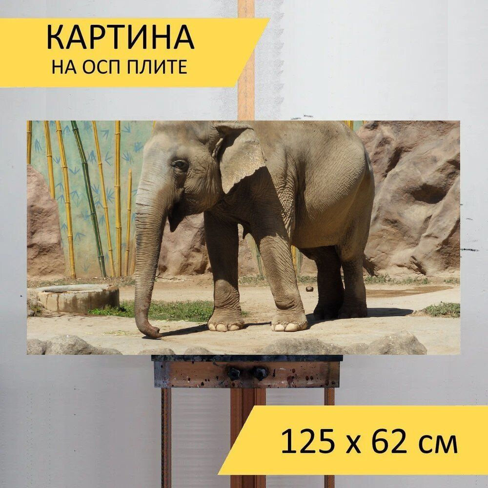 LotsPrints Картина "Слон, животное, млекопитающие 70", 125 х 62 см  #1