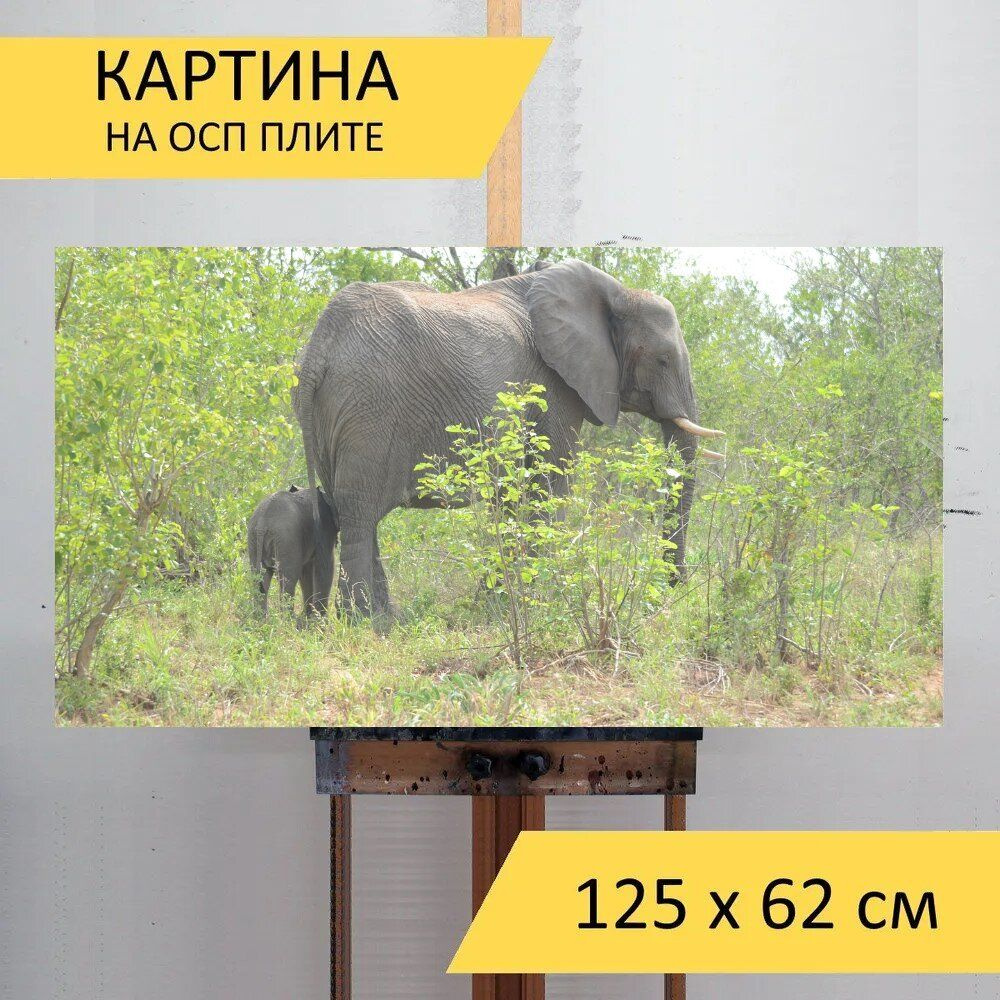 LotsPrints Картина "Слон, африка, животное 64", 125  х 62 см #1