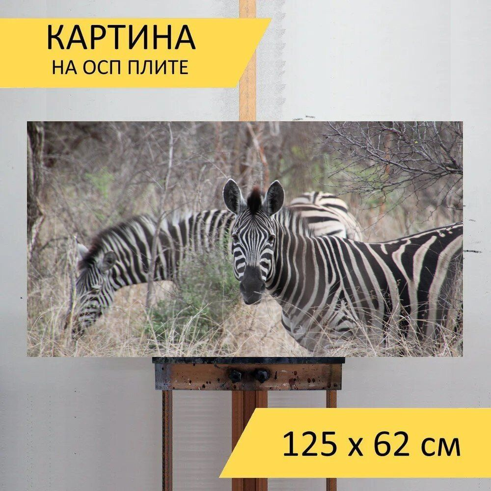LotsPrints Картина "Южная африка, животные, природа 59", 125 х 62 см  #1