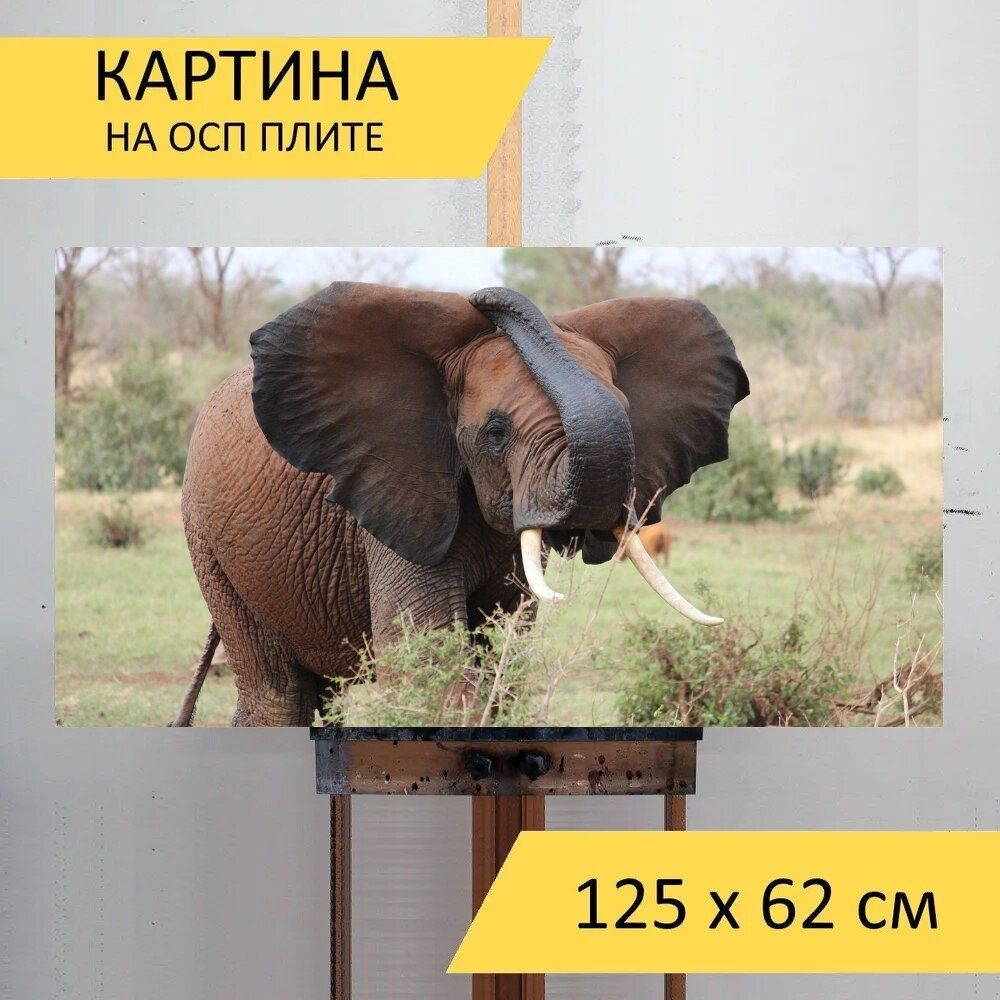 LotsPrints Картина "Слон, африканский слон, кения 96", 125 х 62 см  #1