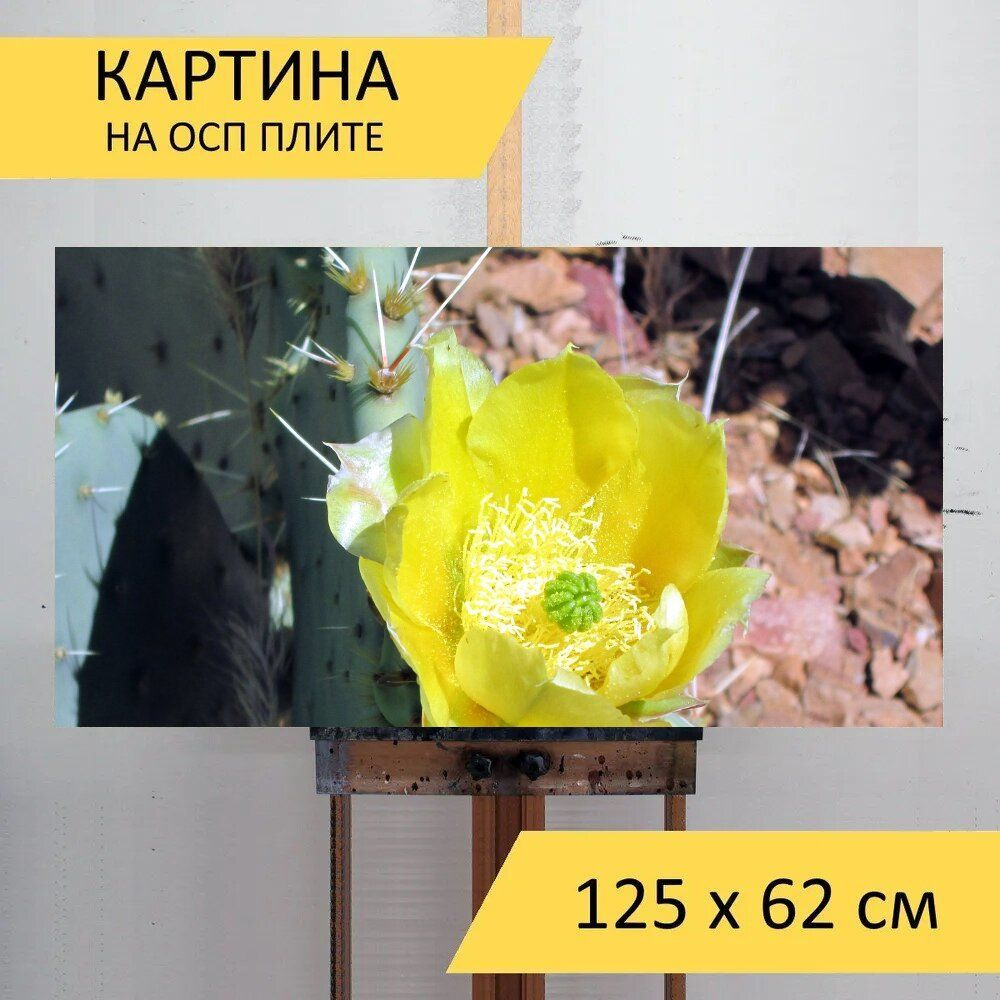 LotsPrints Картина "Кактус, цветок, пустыня 71", 125  х 62 см #1