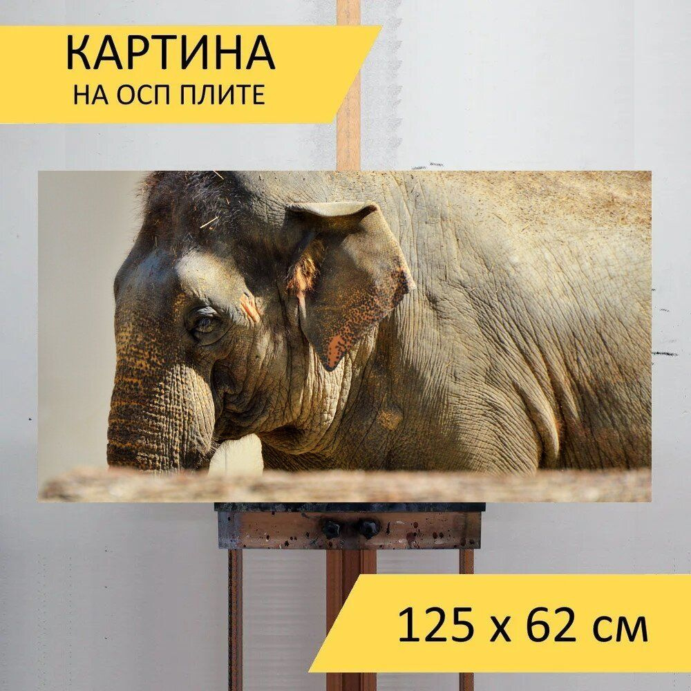 LotsPrints Картина "Слон, толстокожий, саванновый африканский слон 85", 125 х 62 см  #1