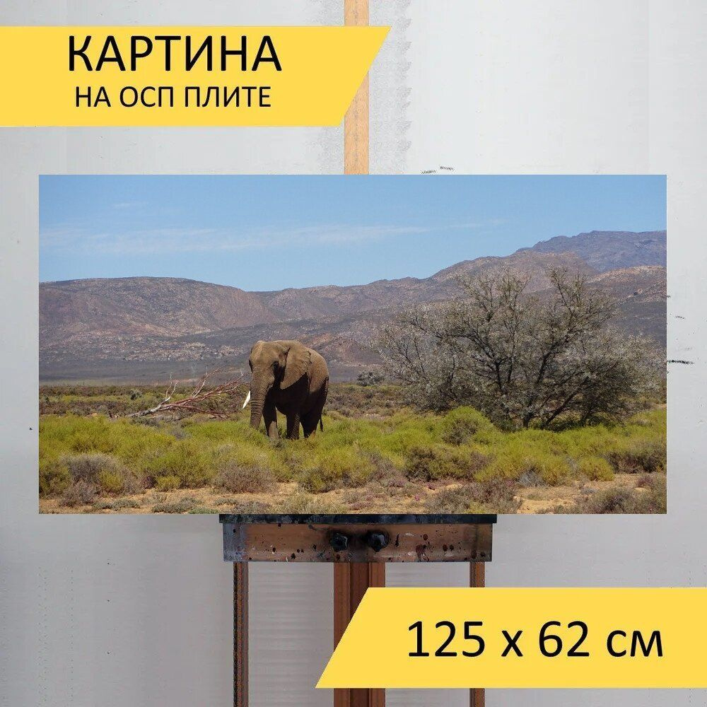 LotsPrints Картина "Слон, толстокожий, фауна 02", 125  х 62 см #1